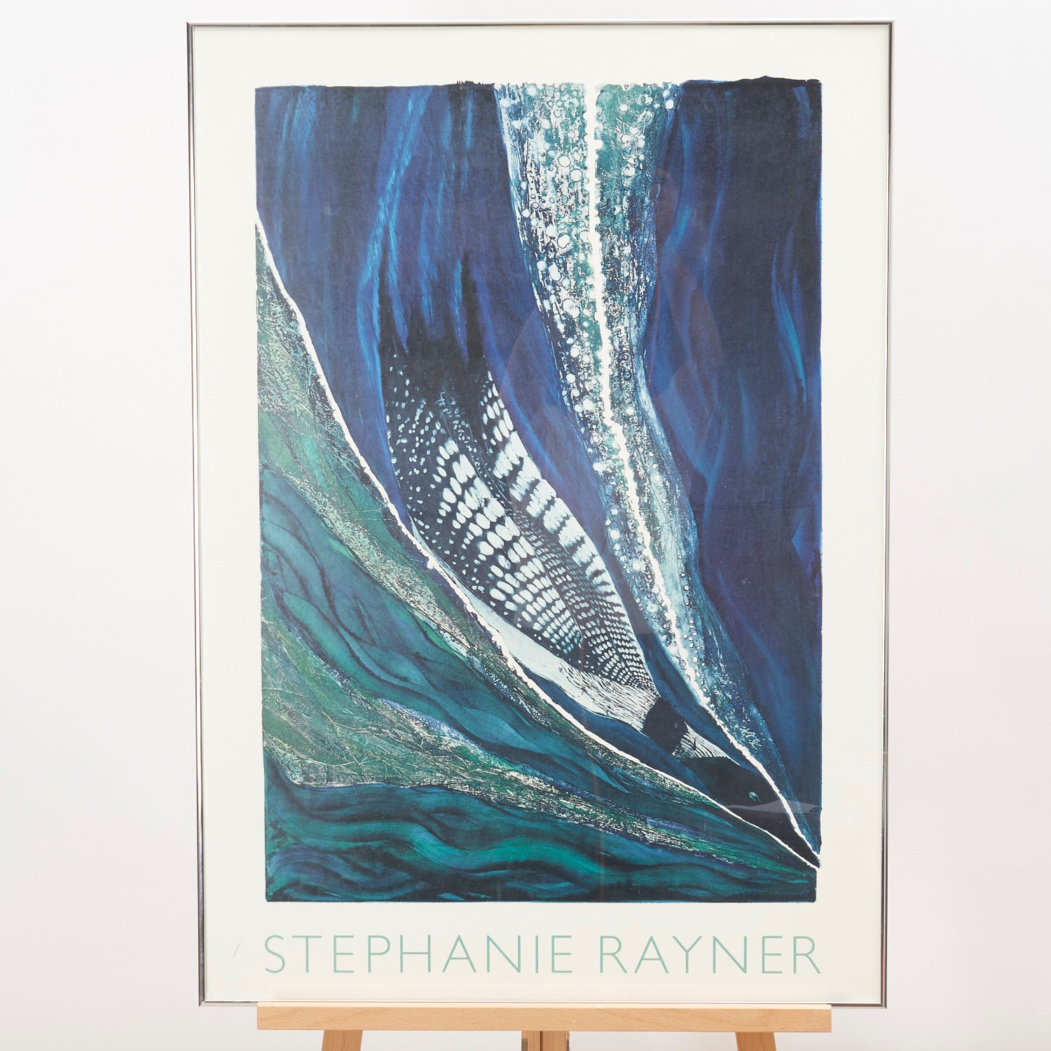 Framed Print of 'Dark Side of the Loon' by Stephanie Rayner