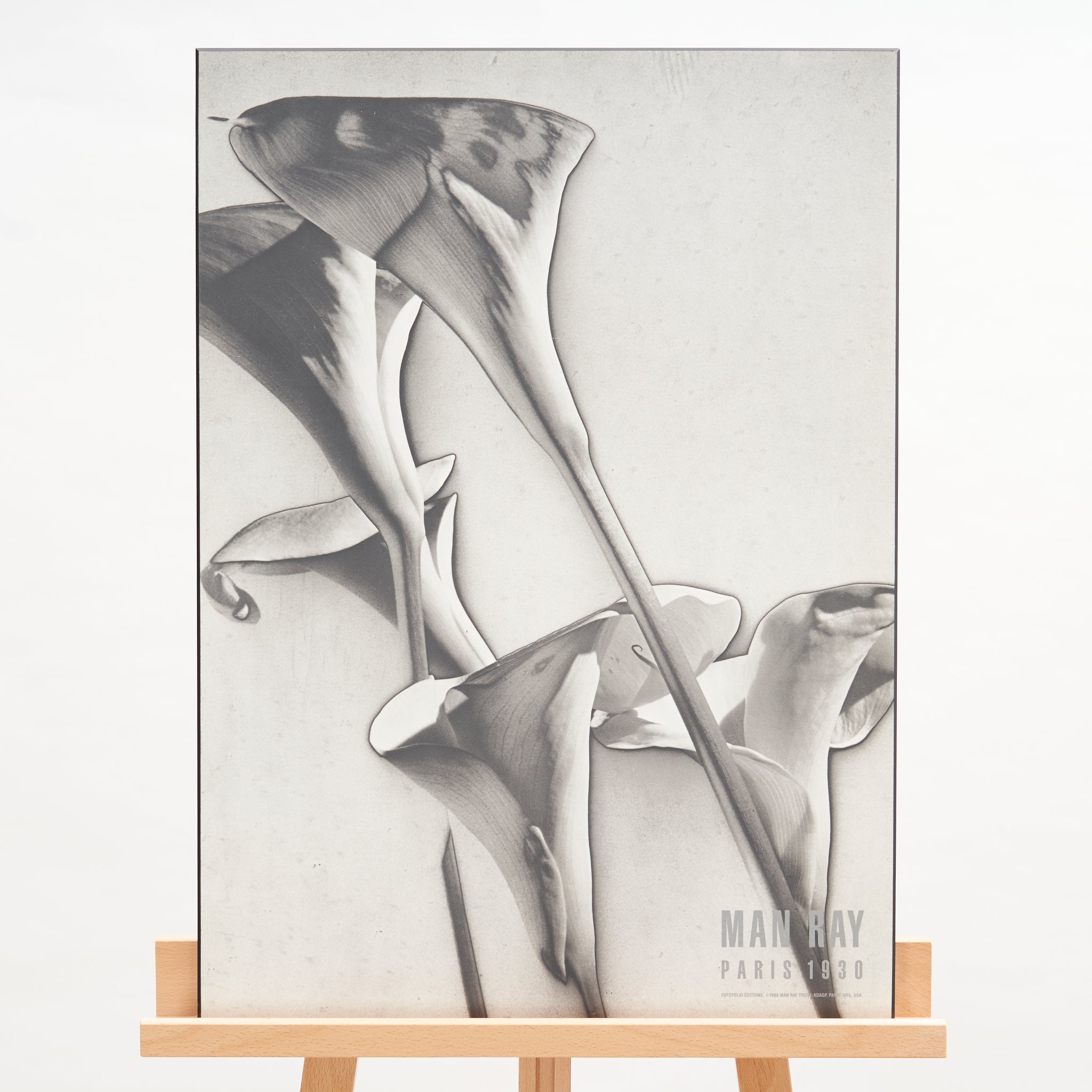 'Calla Lilies' by Man Ray Print on Board from 1988