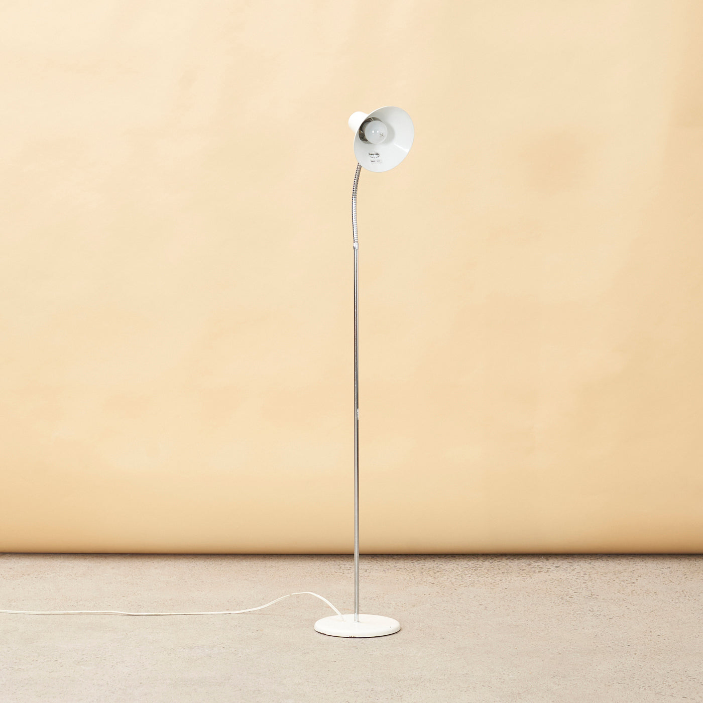 Vintage Gooseneck Floor Lamp