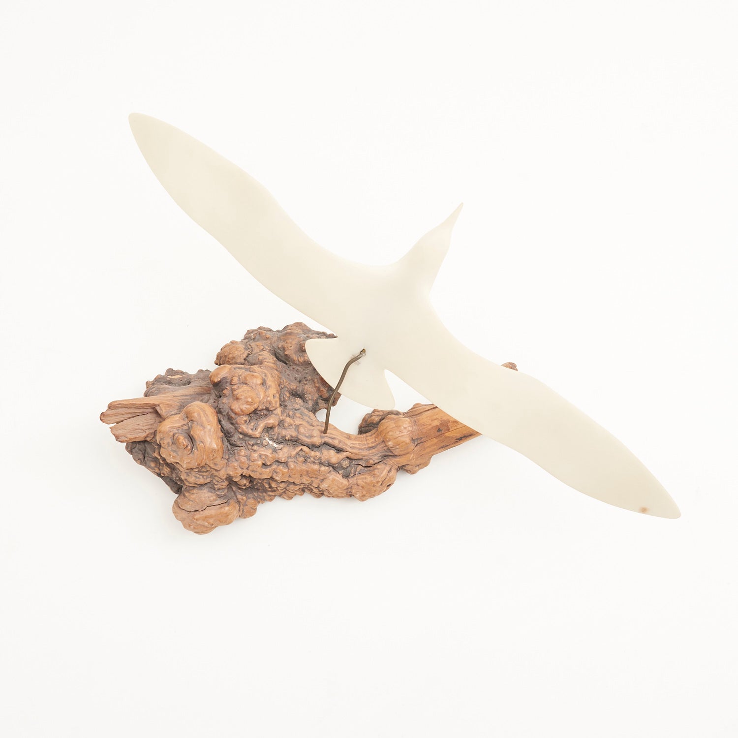 Resin Seagull on Burlwood Base by John Perry