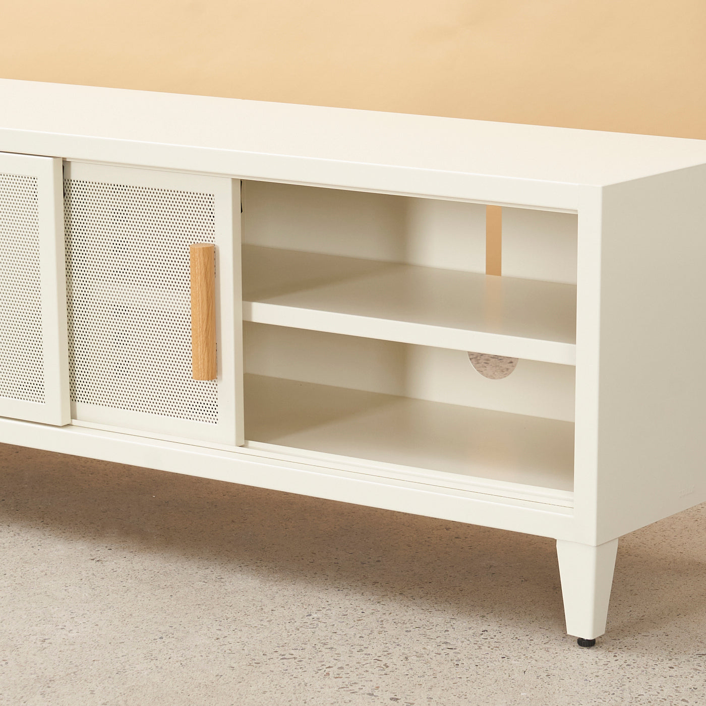 Steel Media Cabinet by Tolix, France