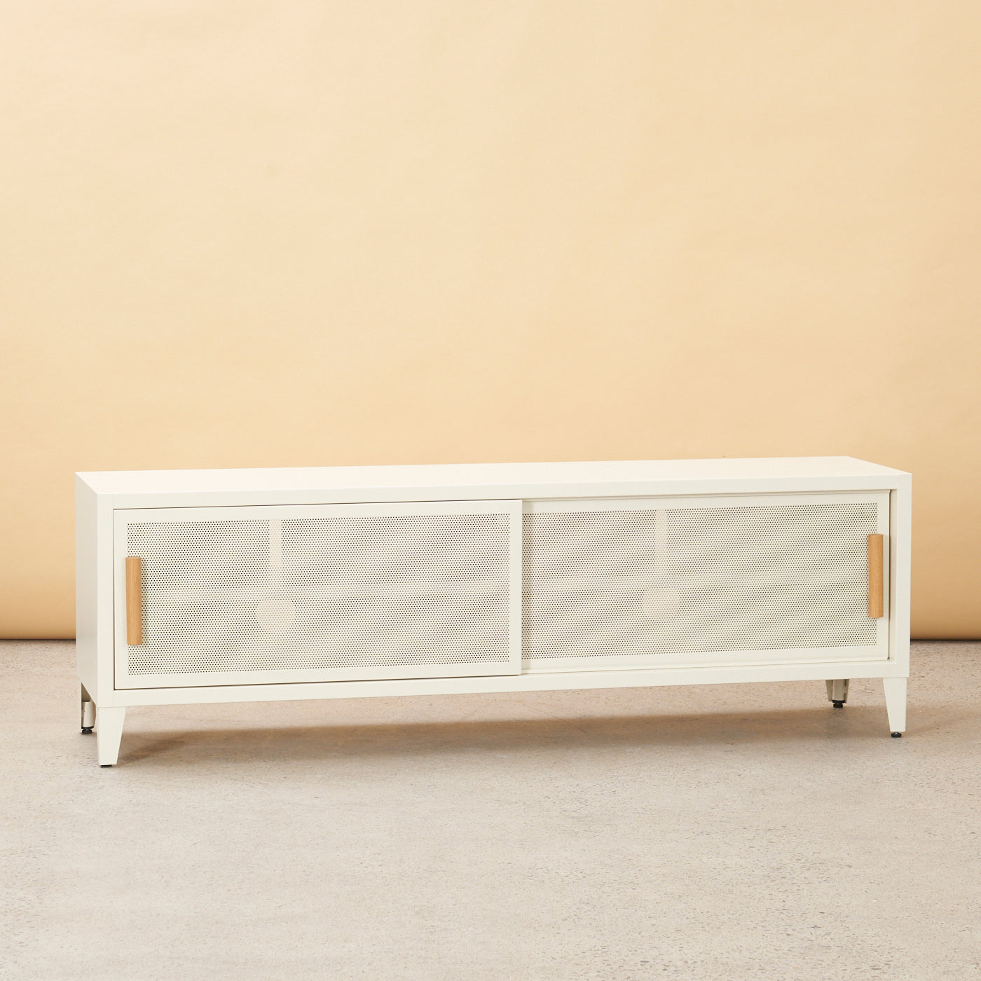 Steel Media Cabinet by Tolix, France