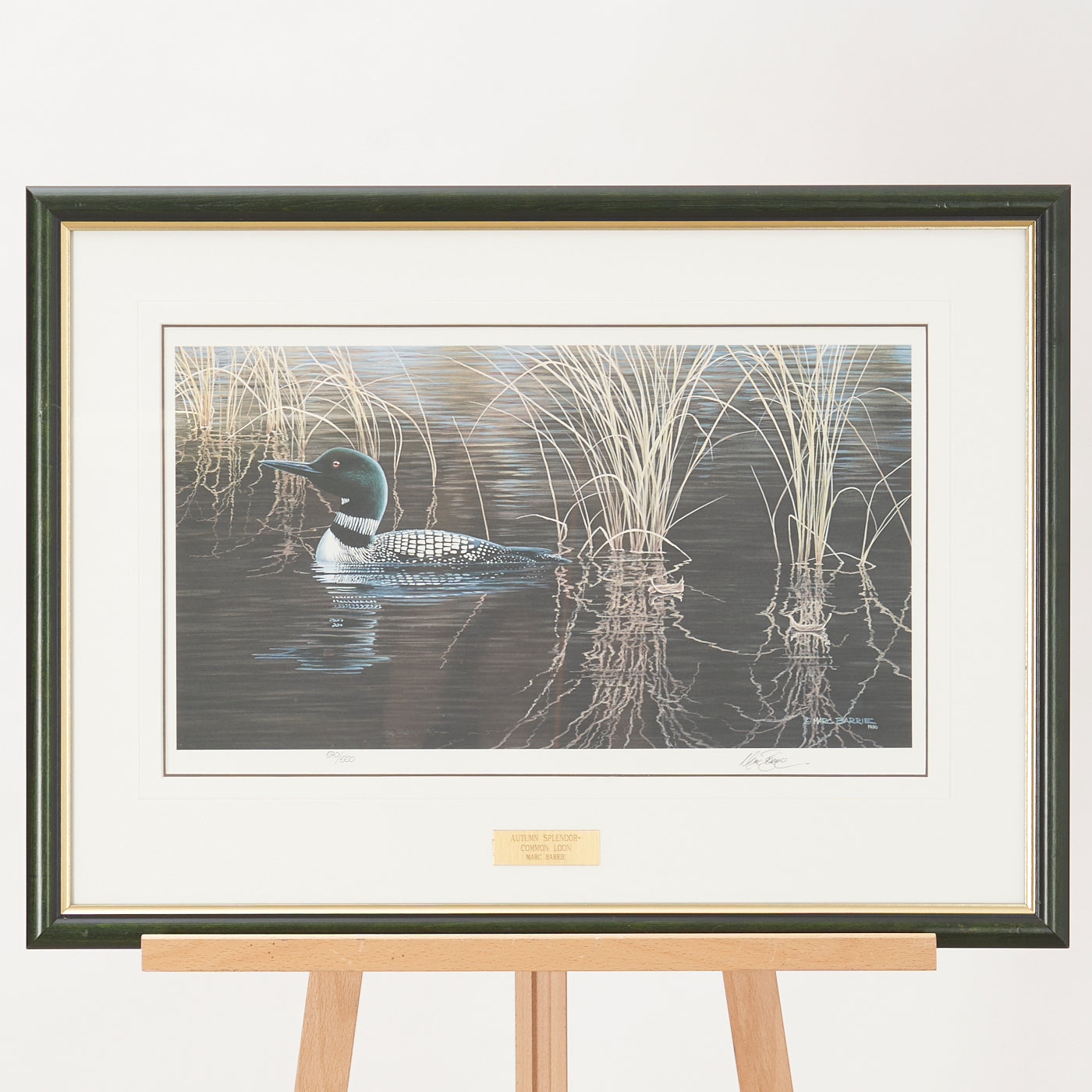 Signed Print of 'Autumn Splendour - Common Loon' by Marc Barrie