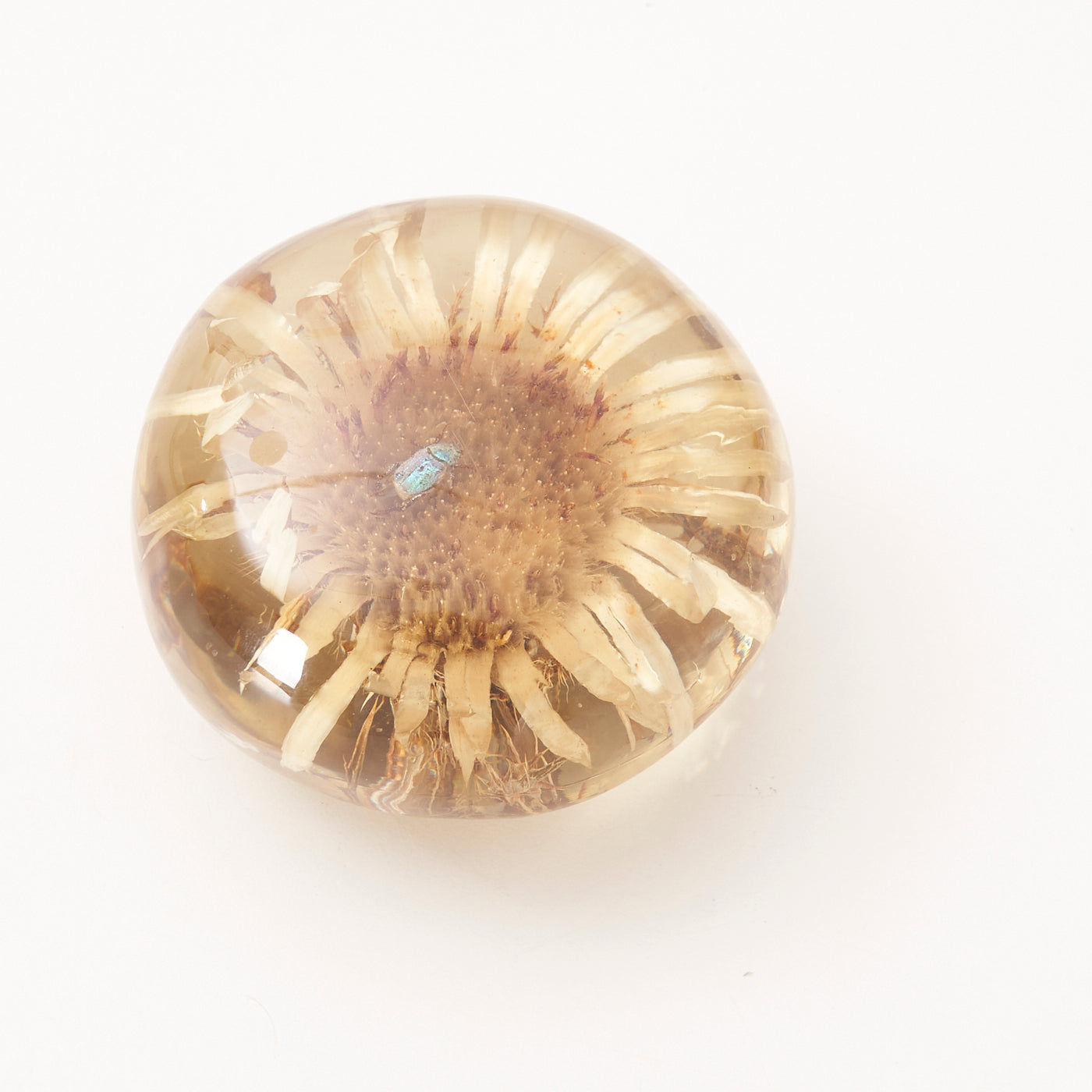 Small Resin Paper Weight