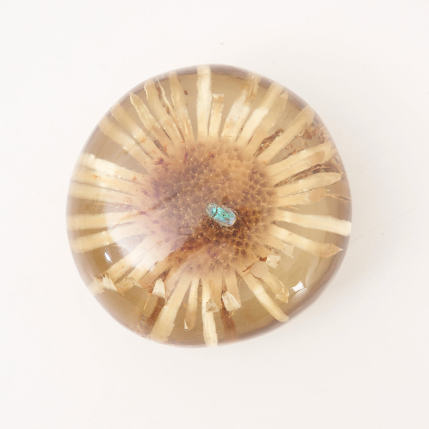Small Resin Paper Weight
