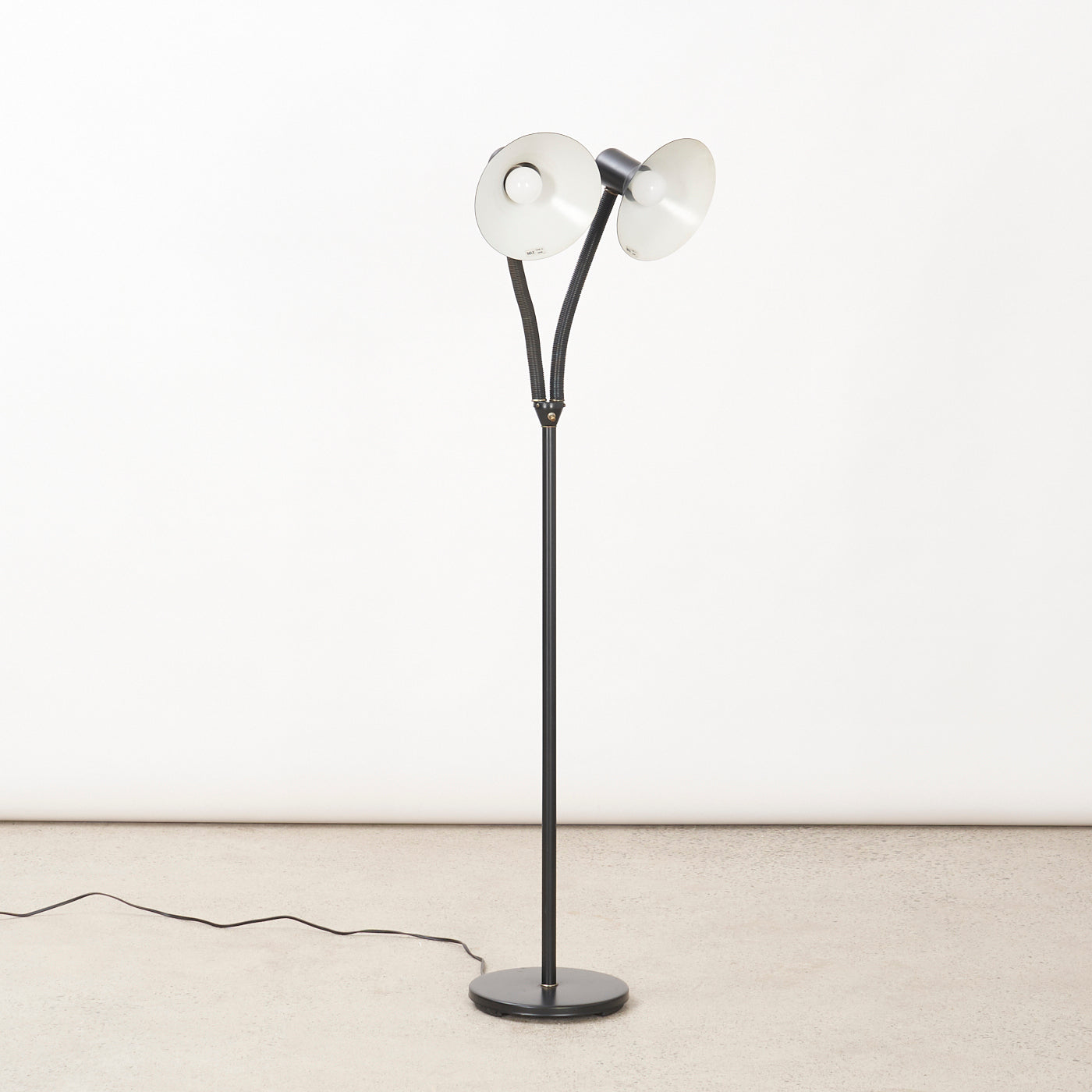 Double Headed Gooseneck Floor Lamp